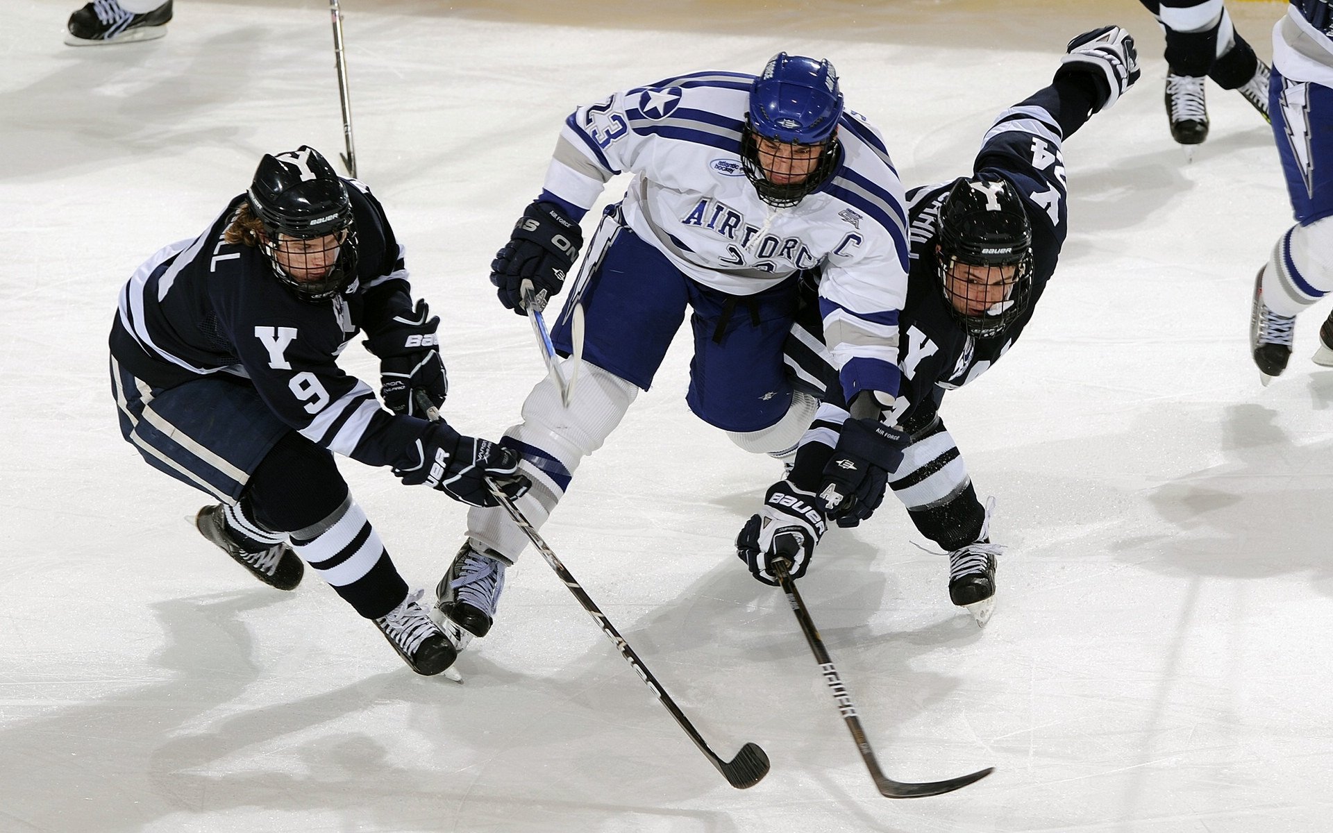 综合体育系“班级荣誉之战” 综合成绩决定“最佳运动班级”